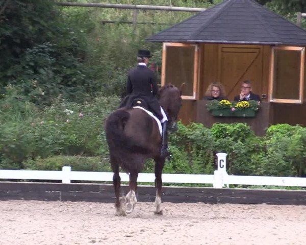 Reitturnier Mettmann - Reitanlage Löckenhoff 2019
