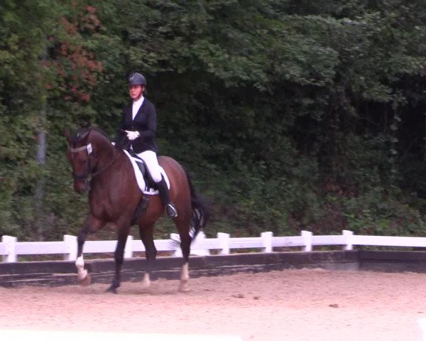 Reitturnier Mettmann - Reitanlage Löckenhoff 2019