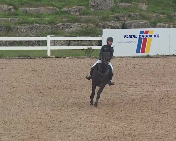 Reitturnier Kreuth/Opf. 2019
