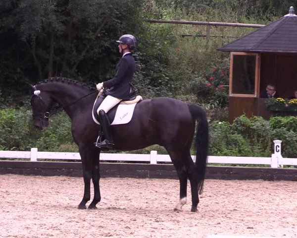 Reitturnier Mettmann - Reitanlage Löckenhoff 2019