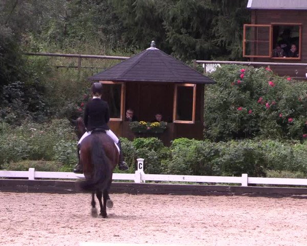 Reitturnier Mettmann - Reitanlage Löckenhoff 2019