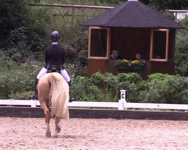 Reitturnier Mettmann - Reitanlage Löckenhoff 2019