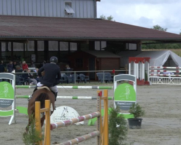 Reitturnier Appelhülsen 2019