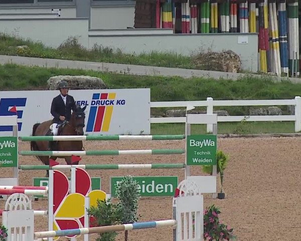 Reitturnier Kreuth/Opf. 2019
