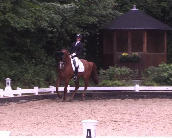 Reitturnier Mettmann - Reitanlage Löckenhoff 2019