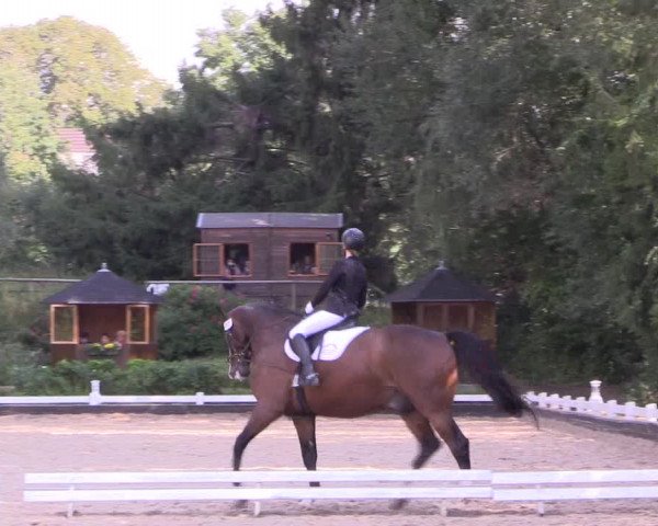 Reitturnier Mettmann - Reitanlage Löckenhoff 2019