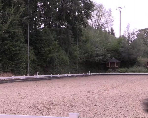 Reitturnier Mettmann - Reitanlage Löckenhoff 2019
