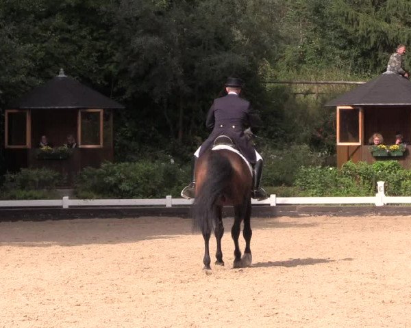 Reitturnier Mettmann - Reitanlage Löckenhoff 2019