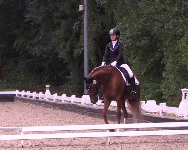 Reitturnier Mettmann - Reitanlage Löckenhoff 2019