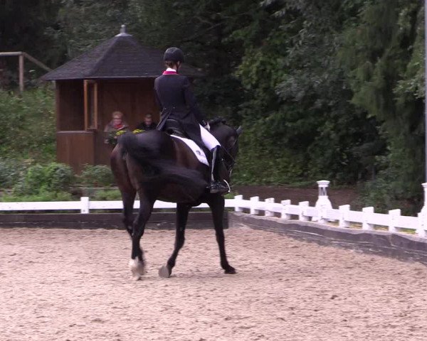 Reitturnier Mettmann - Reitanlage Löckenhoff 2019