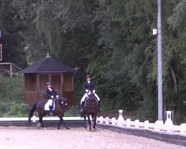 Reitturnier Mettmann - Reitanlage Löckenhoff 2019