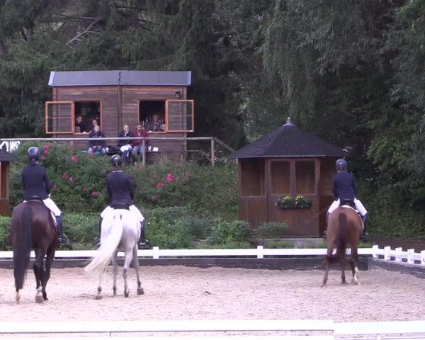 Reitturnier Mettmann - Reitanlage Löckenhoff 2019