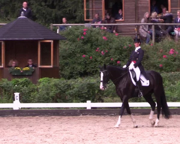 Reitturnier Mettmann - Reitanlage Löckenhoff 2019