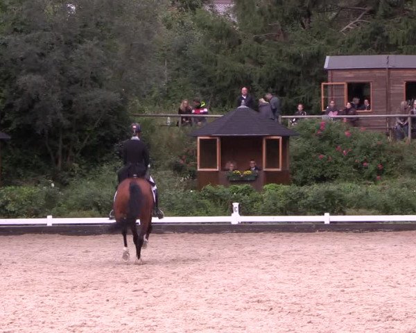 Reitturnier Mettmann - Reitanlage Löckenhoff 2019