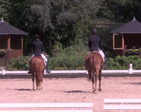 Reitturnier Mettmann - Reitanlage Löckenhoff 2019