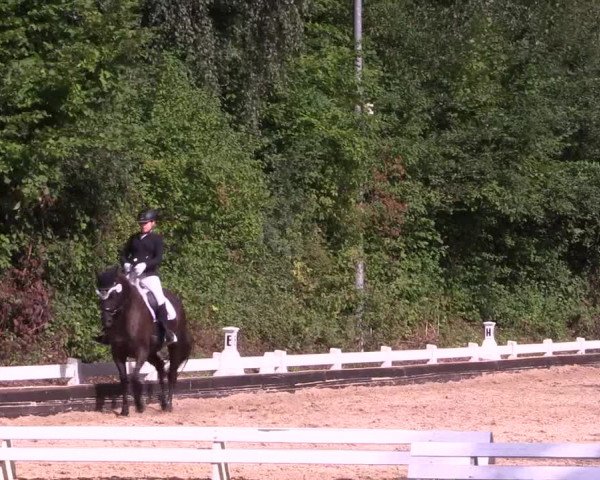 Reitturnier Mettmann - Reitanlage Löckenhoff 2019