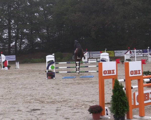 Reitturnier Meinerzhagen 2019