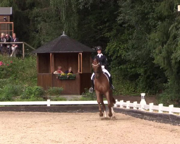 Reitturnier Mettmann - Reitanlage Löckenhoff 2019