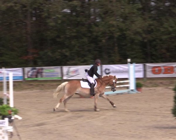 Reitturnier Meinerzhagen 2019