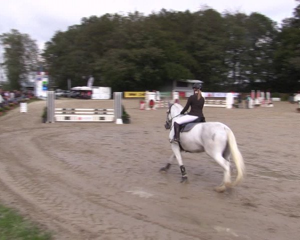 Reitturnier Meinerzhagen 2019