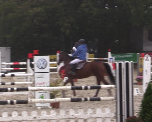 Reitturnier Meinerzhagen 2019