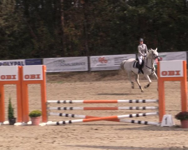 Reitturnier Meinerzhagen 2019