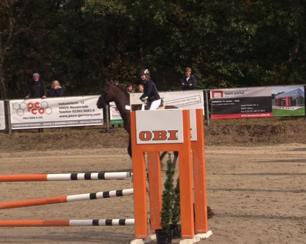 Reitturnier Meinerzhagen 2019