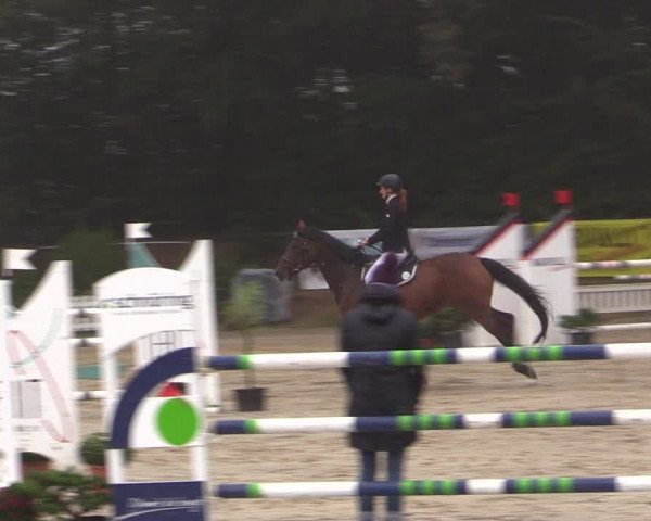 Reitturnier Meinerzhagen 2019