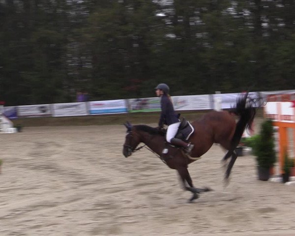 Reitturnier Meinerzhagen 2019
