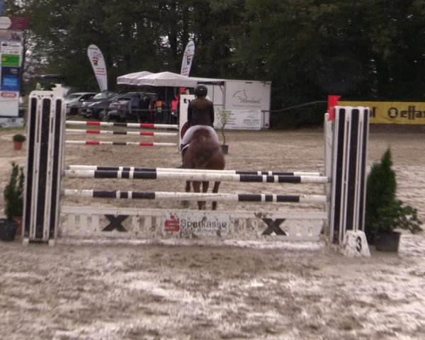 Reitturnier Meinerzhagen 2019