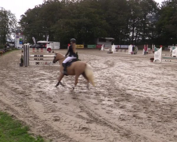 Reitturnier Meinerzhagen 2019