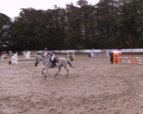 Reitturnier Meinerzhagen 2019