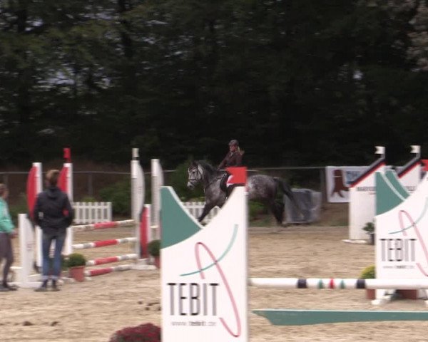 Reitturnier Meinerzhagen 2019