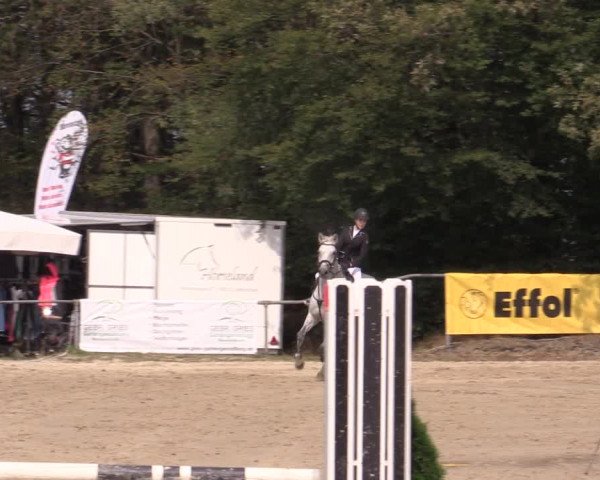 Reitturnier Meinerzhagen 2019