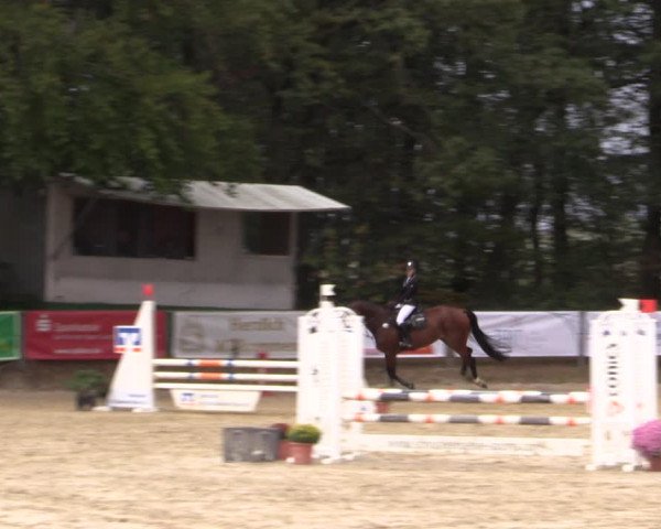 Reitturnier Meinerzhagen 2019