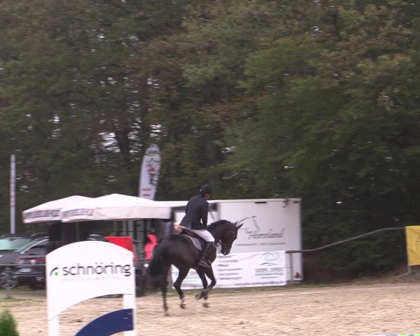 Reitturnier Meinerzhagen 2019