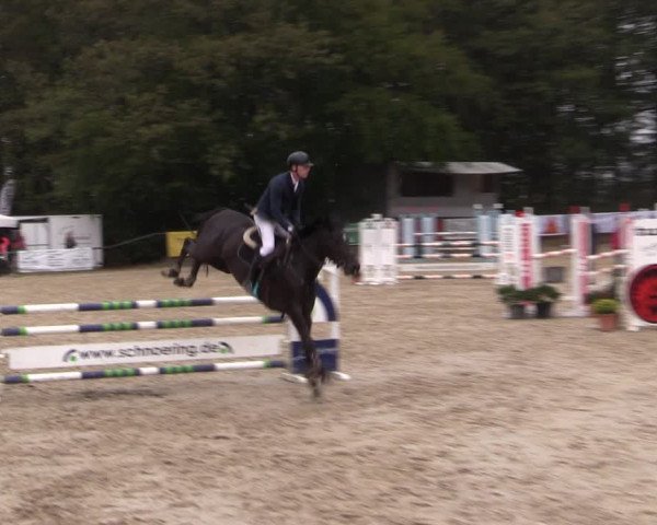 Reitturnier Meinerzhagen 2019