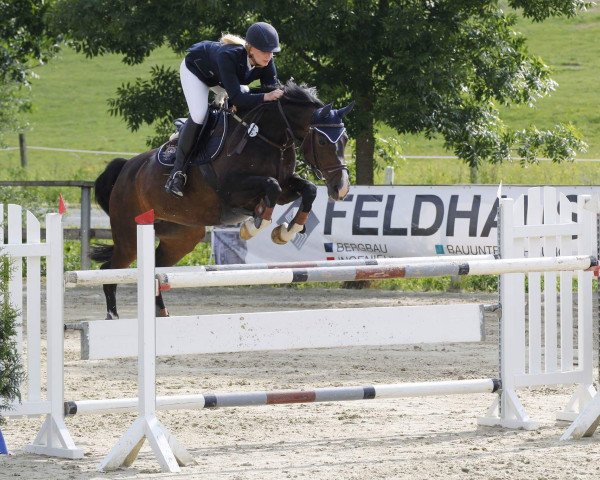 broodmare Alana 32 (Hanoverian, 2002, from Adlantus As FRH)