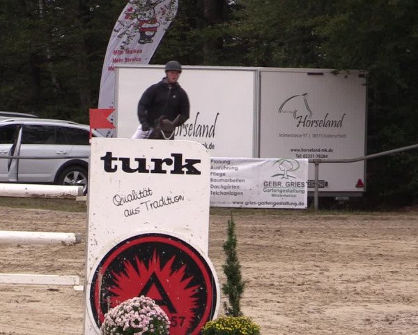 Reitturnier Meinerzhagen 2019