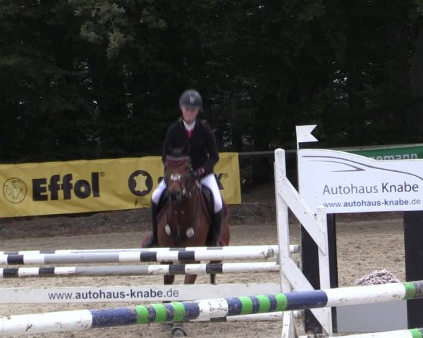 Reitturnier Meinerzhagen 2019