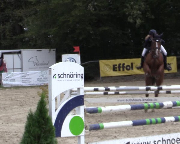 Reitturnier Meinerzhagen 2019