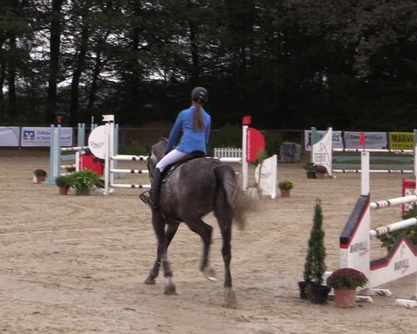 Reitturnier Meinerzhagen 2019