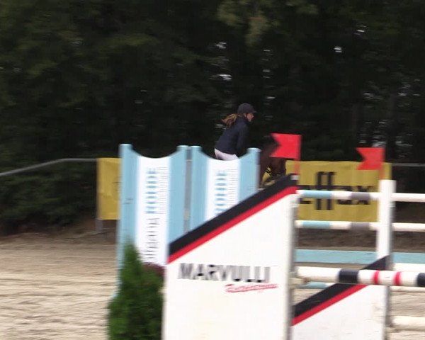 Reitturnier Meinerzhagen 2019