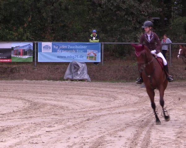 Reitturnier Meinerzhagen 2019