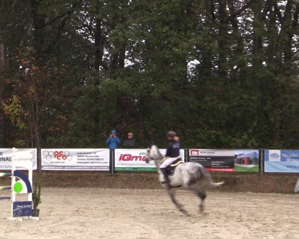 Reitturnier Meinerzhagen 2019