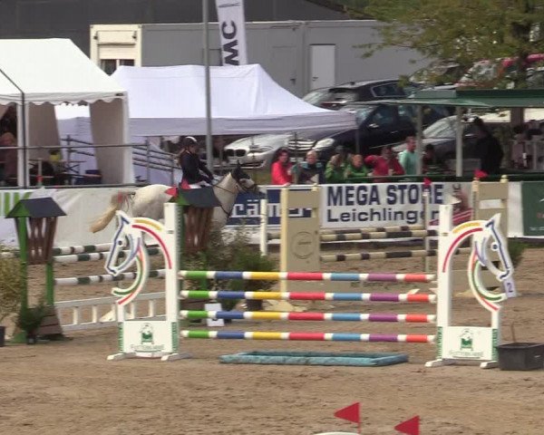 Reitturnier Leichlingen-Witzhelden 2019