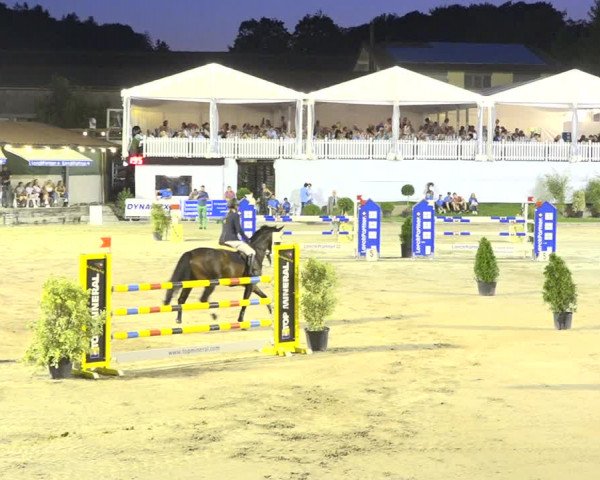 Reitturnier Humlikon 2019