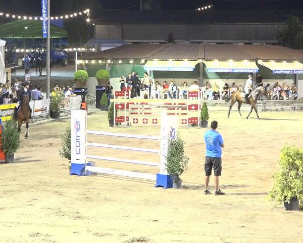 Reitturnier Humlikon 2019
