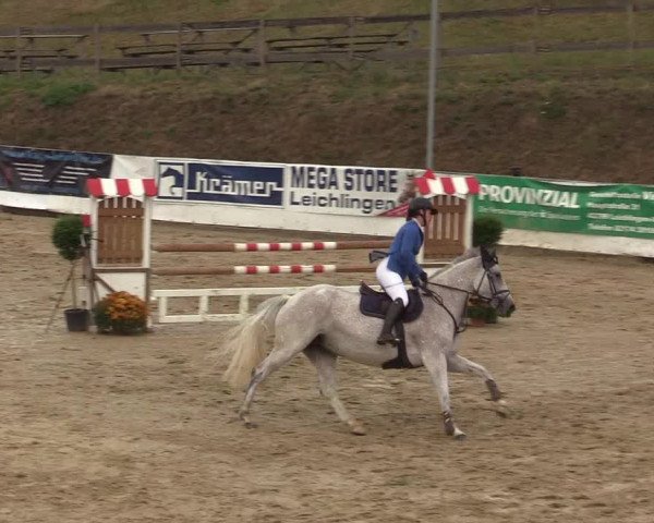 Reitturnier Leichlingen-Witzhelden 2019