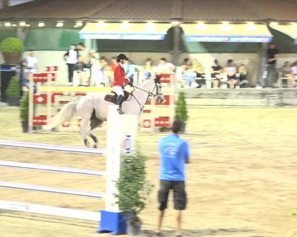 Reitturnier Humlikon 2019